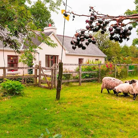 2 Bed In Oc-ii15381 Σπίτι διακοπών *