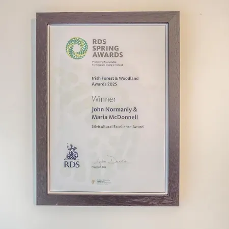 2 Bed In Oc-ii15381 * Curry