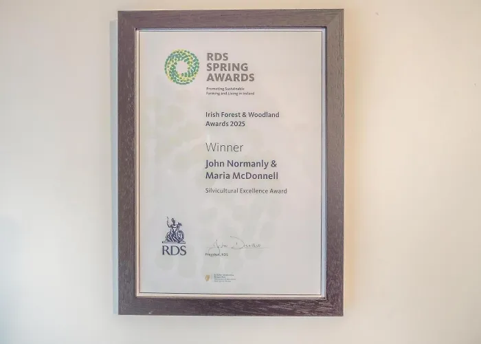 2 Bed In Oc-ii15381 * Curry